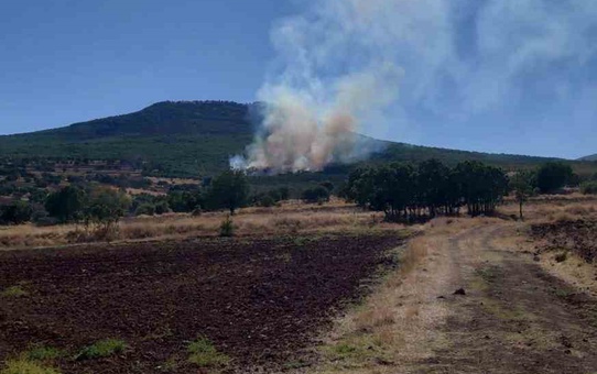 Eskişehir Sivrihisar'da ormanlık alanda çıkan yangını söndürme çalışmaları sürüyor