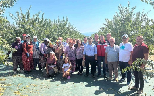 Şarköy'de badem hasadı başladı, 17 bin 500 ağaçtan 17,5 ton iç badem beklentisi var