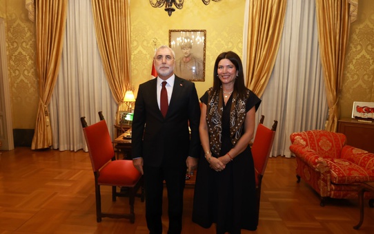Bakan Işıkhan Roma'da büyükelçilerle görüştü