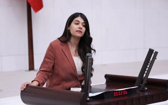 DEM Parti milletvekili Altın, Kızıltepe'deki ev baskınını çocuk hakları için Meclis'e taşıdı