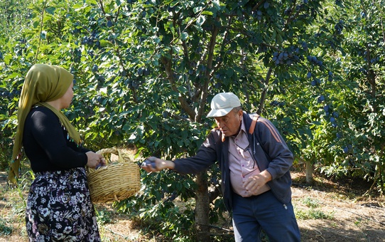 Isparta Eğirdir'de çiftçi, mürdüm eriğiyle ürün çeşitliliğini artırdı