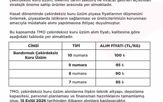 TMO çekirdeksiz kuru üzüm alım fiyatı 100 TL'ye kadar çıktı, alımlar 15 Eylül'de başlıyor