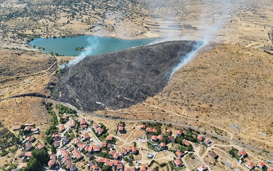 Çankırı Korgun'da tren kıvılcımı 650 dekar alanı yaktı, 205 arı kovanı küle döndü