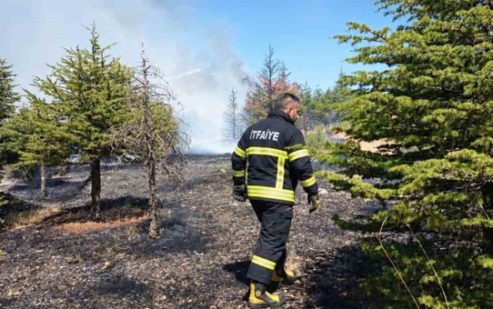 Elazığ Akçakiraz'da ağaçlık alanda çıkan örtü yangını söndürüldü