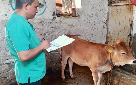 Evciler'de hayvancılık işletmeleri İlçe Tarım ekiplerince denetlendi