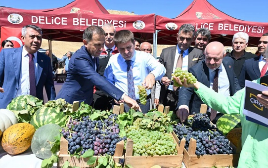 Kırıkkale Delice'de 4 bin dönümde üzüm hasadı başladı, 6 bin ton rekolte bekleniyor