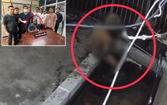 Komşusunun balığına istismarda bulundu! Verdiği ifade polisleri bile şaşkına çevirdi