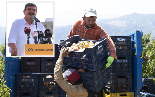 Şeftali fiyatı dip yaptı, belediye başkanı “Gerekirse dereye dökün” dedi