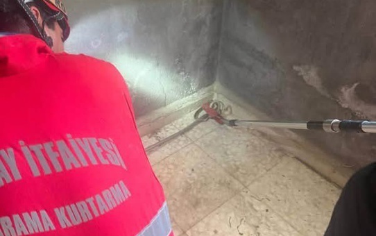 Antakya'da evin içine giren yılan zarar verilmeden yakalanıp doğaya bırakıldı