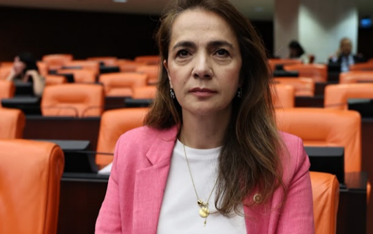 CHP'li Akkuş İlgezdi, Türkiye'nin gıda enflasyonunda dördüncü sırada olduğunu bildirdi
