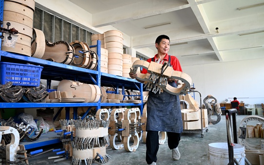 Henan'daki Queshan ilçesi yılda 400 bine yakın keman üretiyor