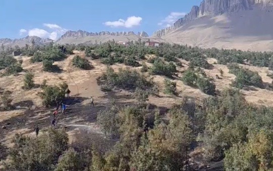 Şırnak Beytüşşebap'ta orman yangınına itfaiye ve jandarma müdahale ediyor