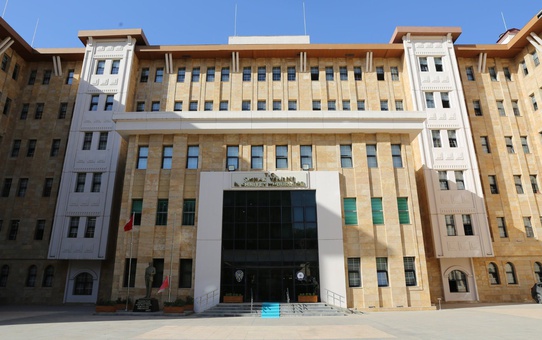 Şırnak'ta 4 ilçede yasa dışı bahis operasyonu, 22 şüpheli gözaltında