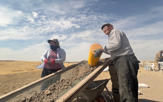 Gölbaşı'ndaki kazılarda bulunan 66 milyon yıllık salyangoz fosili sergilenecek