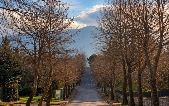 Düzce'de fotoğrafçı aynı noktayı 1 yıl boyunca çekip dört mevsimi karelere sığdırdı