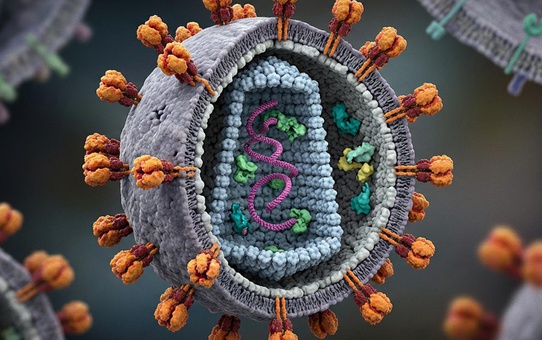 Fiji'de HIV nedeniyle 'ulusal kriz' ilan edildi