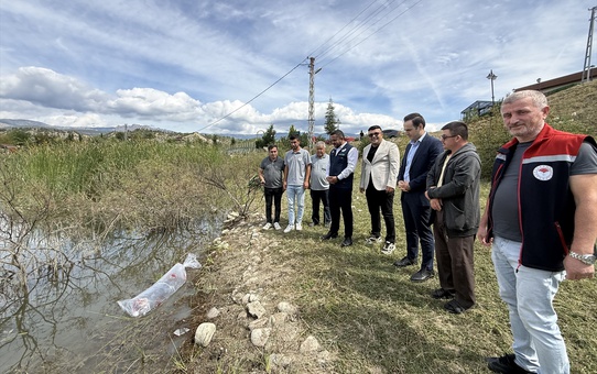 Sinop Durağan'da İkiz ve Karacören göletlerine 2 bin sazan yavrusu bırakıldı