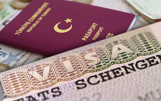 TIR şoförleri Kapıkule'de Schengen vizesi ve gümrük kuyruğu için bir araya geldi