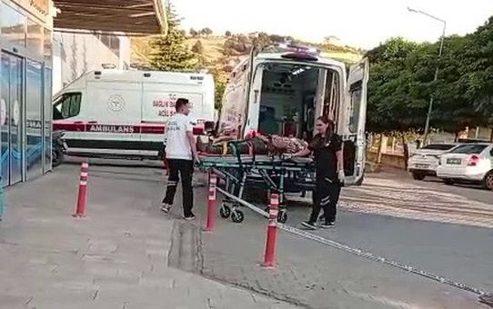 Çağlayancerit'te ceviz ağacından düşen Mehmet Kıran ağır yaralandı