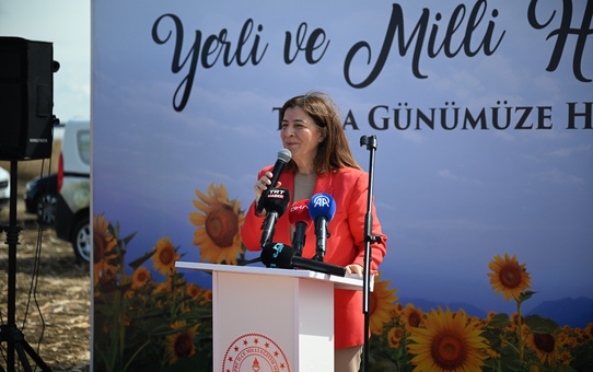 Edirne'de yerli hibrit ayçiçeği hasadında Vali Sezer'den üreticiye destek sözü