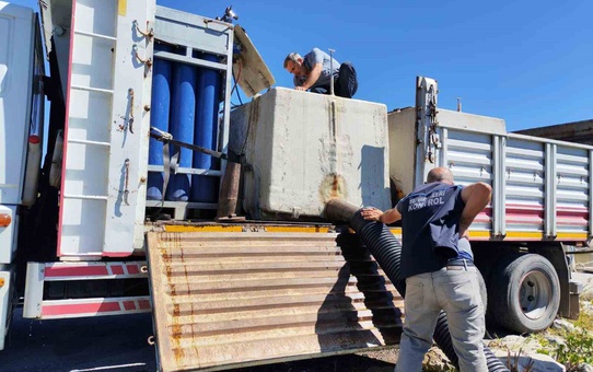 Erzincan'da baraj göllerine 1 milyon 200 bin sazan yavrusu bırakıldı