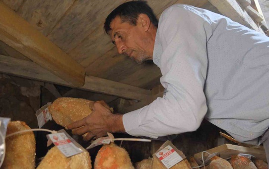 Divle Obruk Peyniri mağarada olgunlaşıp kırmızı renkte satışa hazır