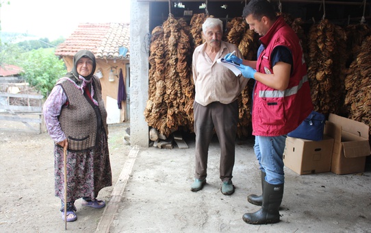 Samsun'da 65 bin büyükbaş için sonbahar şap aşılaması başlatıldı