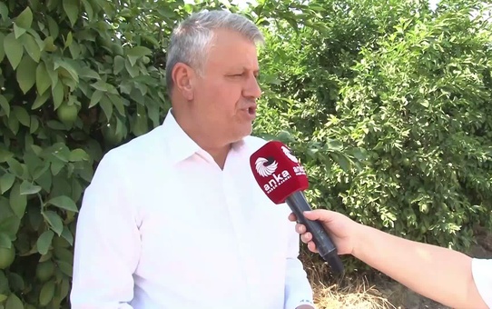 Barut, limonda 10 liralık maliyete dikkat çekti, hal yasası çağrısı yaptı