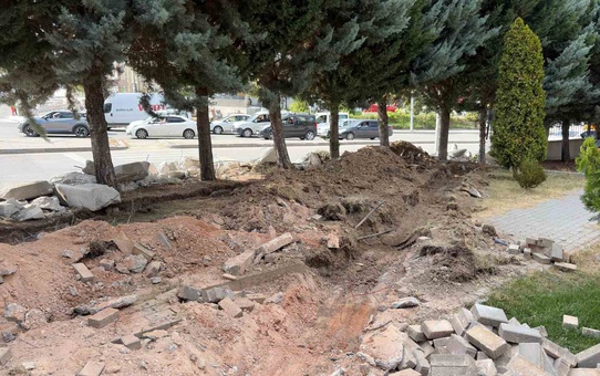Ankara Etimesgut'ta 40 ağaç kesimine tepki, çalışma 2 gün durduruldu