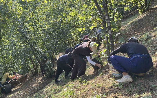 Karasu'da kooperatifle işlenen fındık çikolata olup ABD'ye ihraç edildi