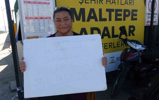 Büyükada'da kalan son 16 at için sevk iddiası, hayvanseverler işlem durdurulsun çağrısı yaptı