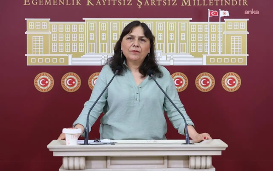 DEM Partili Saki, 'Ailem Güvende' operasyonlarını iki bakanlığa sordu