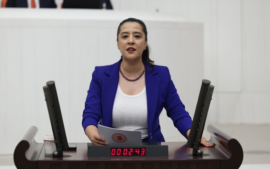 EMEP'li Karaca, Tunceli'de işe iade kararı uygulanmayan 13 işçiyi Meclis'e taşıdı