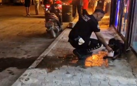 Samandağ'da silahla vurulan sokak köpeğine polis ekipleri sahip çıktı
