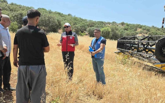 Dicle'de yüzde 75 hibeli mercimek tohumu için başvurular başladı