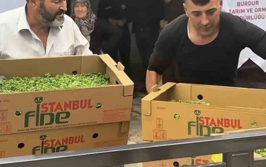 Burdur'da üreticilere yüzde 75 hibeyle 164 bin 500 marul fidesi dağıtıldı