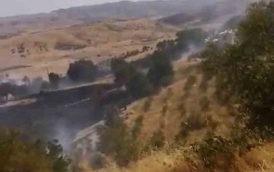 Diyarbakır Çüngüş'te yangında üzüm bağları ve meşe ağaçları zarar gördü