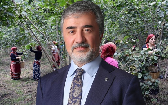 Hamarat’tan ihracatçı ve tüccarlara fındık fiyatı çağrısı: Üreticinin emeğini gözetin