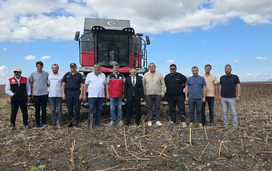 Bandırma Kaymakamı Öztürk, Beyköy'de ayçiçeği hasadına katılıp üreticilerle görüştü