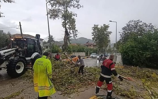 Hatay Yayladağı'nda fırtınanın devirdiği ağaç park halindeki aracın üstüne düştü