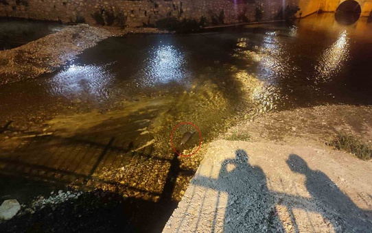 Çarşamba Çayı'ndaki su samuru ailesi, Konya Bozkır'da akşam saatlerinde görüntülendi