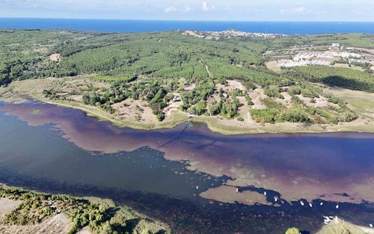 Terkos Gölü pembe çiçeklerle kaplandı, İstanbul Havalimanı da karede yer aldı