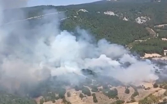 Balıkesir Karesi'deki orman yangınına ekipler havadan ve karadan müdahale ediyor