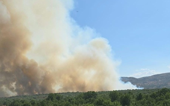 Diyarbakır'da Silvan ile Lice arasındaki orman yangını kontrol altına alındı