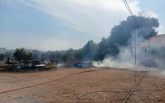 Antalya Serik Çandır'da çıkan otluk yangın biber serasındaki ürünleri zarara uğrattı