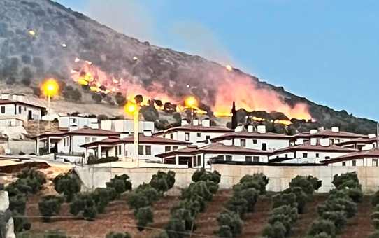 Adıyaman'ın Palanlı mevkiinde orman yangını itfaiye ekiplerince kontrol altına alındı