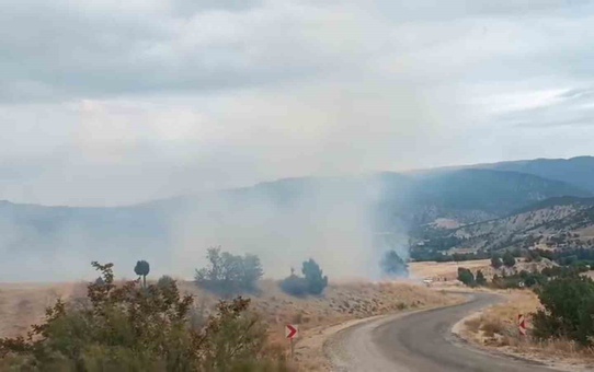 Bolu Seben'de yangın HES'lere varmadan söndürüldü, yaklaşık 8 dönüm arazi zarar gördü