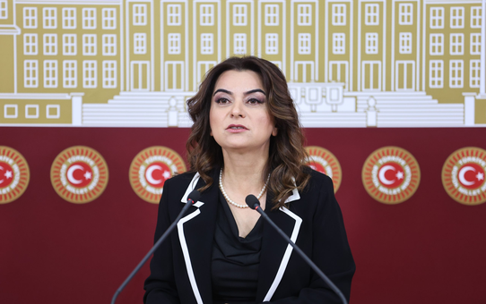 DEM'li Koçyiğit, Manisa Turgutlu'da okul saldırısında yaralanan çocuklara şifa diledi