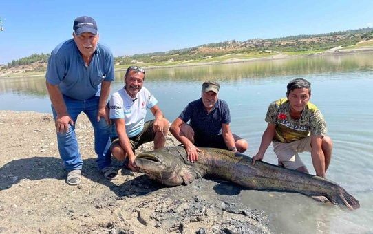 Afyonkarahisar'dan Denizli'ye giden 3 balıkçı 120 ve 85 kiloluk yayın balığı yakaladı