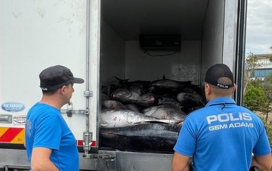 İzmir Deniz Polisi Güzelbahçe'de 3 ton kaçak orkinos ele geçirdi